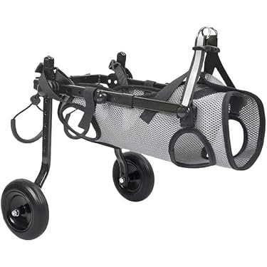 Amazon.co.jp 最新リリース: 介助用車いす の新着ランキングです。