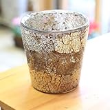 ガラス製鉢カバー：ボーテガラスポットb*　16ｃｍ(内径14.5)Ｘ16ｃｍ【5号鉢用】 (ブラウン)