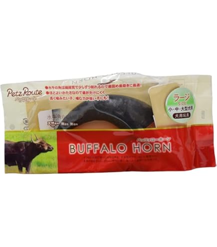 小物入れ バッファローホーン 2個セット 動物 角 　ネM306 小物入れ バッファローホーン 2個セット 動物 角 ネM306