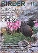 BIRDER (バーダー)2013年 08月号 高山・高原で涼感バードウォッチング/真夏の天使 アジサシ類を見に行こう!
