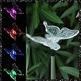 MMRM 蝶のデザイン　ソーラーガーデン庭の芝生クリスマス照明装飾　色変更パスライトカラーのLED