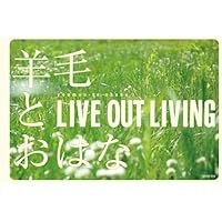 羊毛とおはな LIVE IN LIVING'08　CD　DVD　直筆サイン Amazon.co.jp: LIVE IN LIVING'08: ミュージック