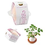 Arbeflo 鉢植え エッグリング 栽培キット 卵にそっくり イチゴ ミント 甘いバジル (イチゴ)
