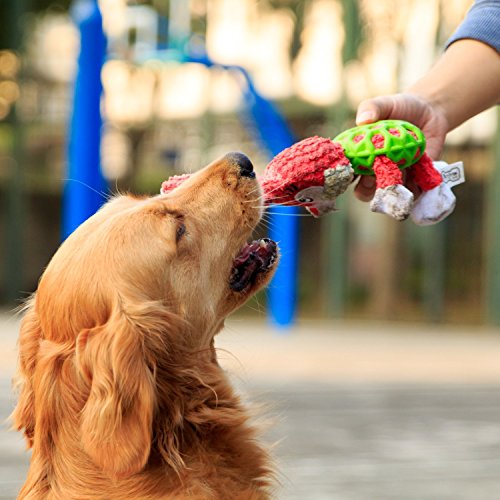 「All4Pets」音の出るペットおもちゃ 歯磨き清潔 中小犬用噛むおもちゃ 甘噛み犬用ぬいぐるみ 運動不足&ストレス 噛み癖解消 発声装置搭載ウサギさん