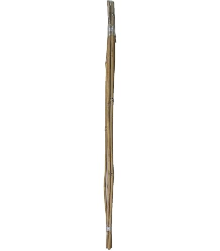Amazon | タカショー(Takasho) め竹180cm 5本束 | 支柱