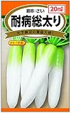 <ﾀｷｲ交配 耐病総太り 20ml> 良質で、ス入が遅い青首大根の最高峰