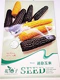 【野菜種】黒色、濃黄色MIX　変わり種