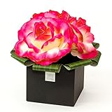 Formosaflowers （ フォルモサ フラワーズ ）ローズS LEDフラワー ＜ 造花 / アーティフィシャルフラワー ＞ 人感センサー 自動点灯 自動消灯機能 レッドピンク