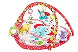Fisher price フィッシャープライス スィートハート プレイマット ピンク 【CGN83】 [並行輸入品]