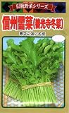 【種子】 信州雪菜（善光寺冬菜） トーホクのタネ