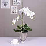 BAGEHUA 精巧な花を感じるファレノプシス花シミュレーション室テーブルの装飾装飾的な花鍋花銀花瓶、白