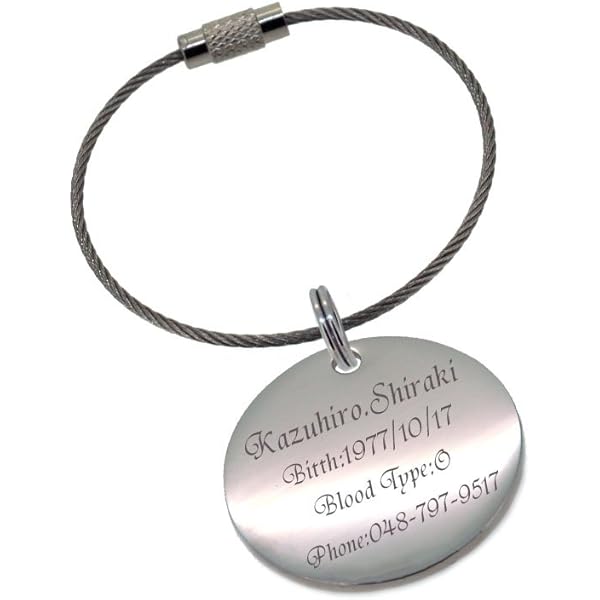 Amazon.co.jp: [AirSkyWeb] 認識票 キーリング アイランドフィル