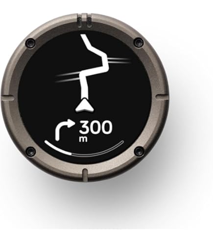 Amazon.co.jp: Beeline Moto Black - Motorcycle/Scooter GPS