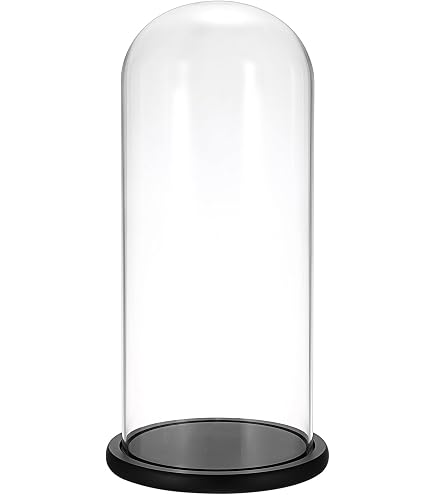 Amazon.co.jp: ダルトン(Dulton) ディスプレイ用品 グラスドーム