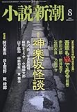 小説新潮 2016年 08 月号 [雑誌]
