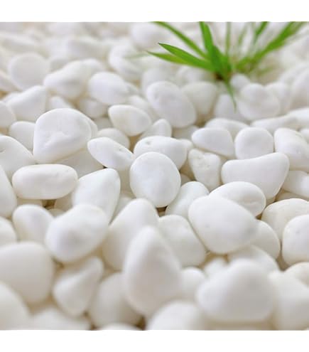 Amazon.co.jp: 三波石五色石91キロ庭石鑑賞石石盆石水石灯籠庭坪庭盆栽