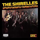 �X�|���e�C�j�A�X�E�R���o�b�V����