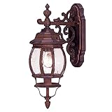 Acclaim 5152BW/SD Chateau Collection 3-Light Wall Mount Outdoor Light Fixture, Burled Walnut [並行輸入品]