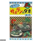 サボテンのタネ 混合 カネコ種苗 家庭菜園