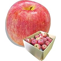 りんご@返信早めページ 楽天市場】【送料無料】【摘果りんご】【りんご乙女】信州産