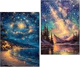 Amyaker ダイヤモンドアート キット 四角いビーズ 全面 2個セット ダイアモンドビーズ絵画キット DIY 手作り絵画 モザイクアート 5D モザイクアート ダイヤモンド塗装 全面貼り付けタイプ 30x40cm 星空