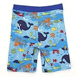 キッズフォーレ Kids Foret キッズ水着 スイムパンツ 海の仲間 ブルー (80cm)