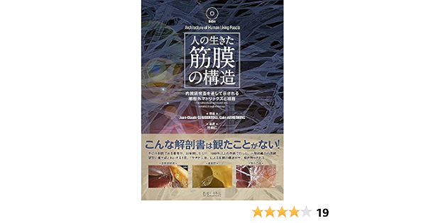 人の生きた筋膜の構造 Dvd付き 内視鏡検査を通して示される細胞外マトリックスと細胞 Jean Claude Guimberteau Colin Armstrong 竹井仁 本 通販 Amazon