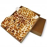 TYGJ ベビー服　肌着　オーガニックコットン　ナチュラル　新生児豪華 コンビセット 入退院マストアイテム　出産祝い　おしゃれ　 有機栽培綿100％　マント1枚＆ベビーシューズ1足＆手袋2枚＆マフラー