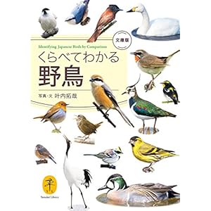ヤマケイ文庫 くらべてわかる野鳥　文庫版