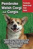Pembroke Welsh Corgi and Corgis: Pembroke Welsh Corgi Total Guide Pembroke Welsh Corgi, Corgi Puppies, Corgi Puppies for Sale, Pembroke Welsh Corgi Breeders, Pembroke Welsh Corgi Training, Health, History & More!