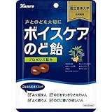 カンロ ボイスケア のど飴 70g×4個