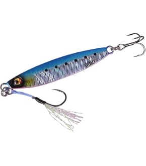 一誠 G.C. ザリメタル 3g・ジャックアイ 豆マキマキ5・ブルーブルー 他 1.5～5g程度 マイクロジグ 等 計60個