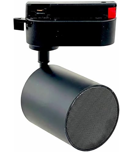 Amazon.co.jp: CICONIA サークルLEDパーティースピーカー CTFE-2060C