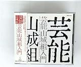 芸能山城組入門