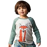 dayseventh 2017ベビーキッズボーイズガールズFox可愛いTシャツトップス カラー: グリーン