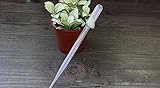 Lautechco 園芸ピペット 園芸用 スポイト 植物給水器 プラスチック製 10個入り