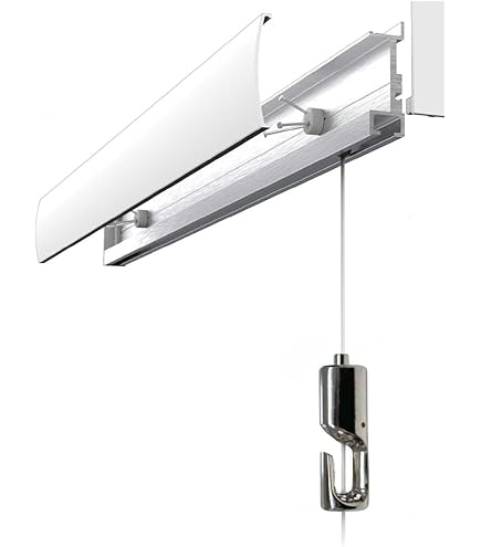 Amazon | 福井金属工芸(Fukuikinzokukogei) レールサン ピクチャー