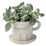 カフェプランター ミニ植木鉢 受皿付き 3号用 ホワイト 白