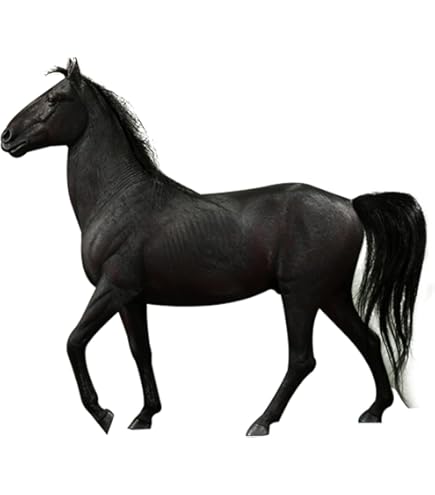 Amazon | Mr.Z 1/6 サイズ 馬 ホース サラブレッド 競走馬 アラブ種