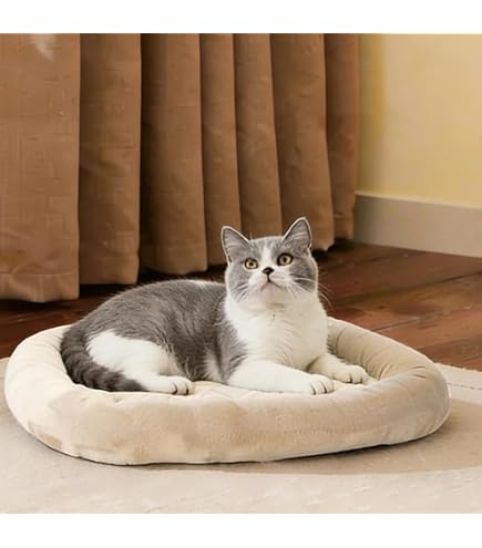 Amazon.co.jp: カインズ(CAINZ) ウォーターヒヤシンス ドームベッド 幅