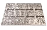 Backsplash Pnlシルバー18 x 24in
