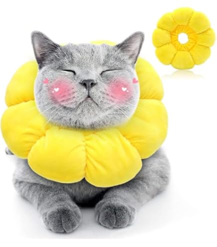 オレンジ エリザベスカラー S 犬 猫 エリザベスカラー オレンジS 首周り12〜20cm ソフト犬 傷