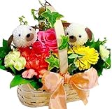 花由 アニマル＊生花 フラワーアレンジメント＜Mサイズ＞ワンちゃん