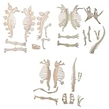 ROSENICE 恐竜 骨格 モデル おもちゃ プラスチック製　3枚入