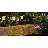 Bronze Outdoor Solar Powered LED Pathway Light 4x Brighter Than Standard Solar Light; Metal Construc