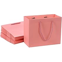 Amazon | Ouyes ギフトバッグ、無地紙袋10点セット【中
