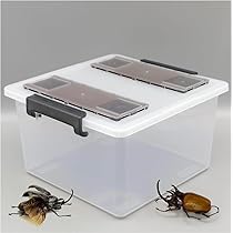 51vpfmAUsEL._AC_UL210_SR210,