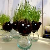 hair LABO（ヘアーラボ）アニマル・キャット[プレゼントに人気・動物の頭から芝が生える！] ノーブランド品