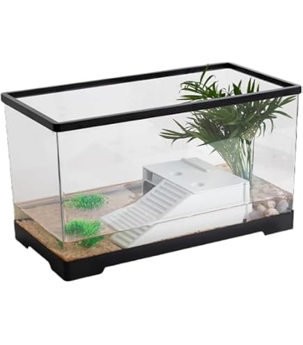 Amazon | 水槽屋.com acry(アクリ) 国産60cmアクリル水槽 [60×30×36cm 