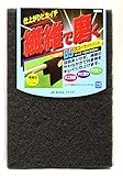 イチグチ BSスコーライトパット極細目80142